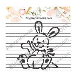 Baby bunny new born shower...
