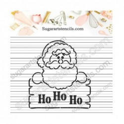 Christmas PYO cookie...