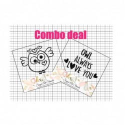 Valentine's day PYO cookie...