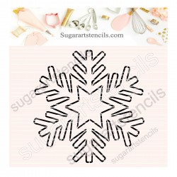 Snowflake PYO cookie...